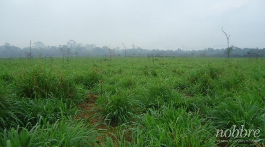 Fazenda para vender no Pará